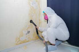 Best Industrial Mold Remediation  in Malabar, FL